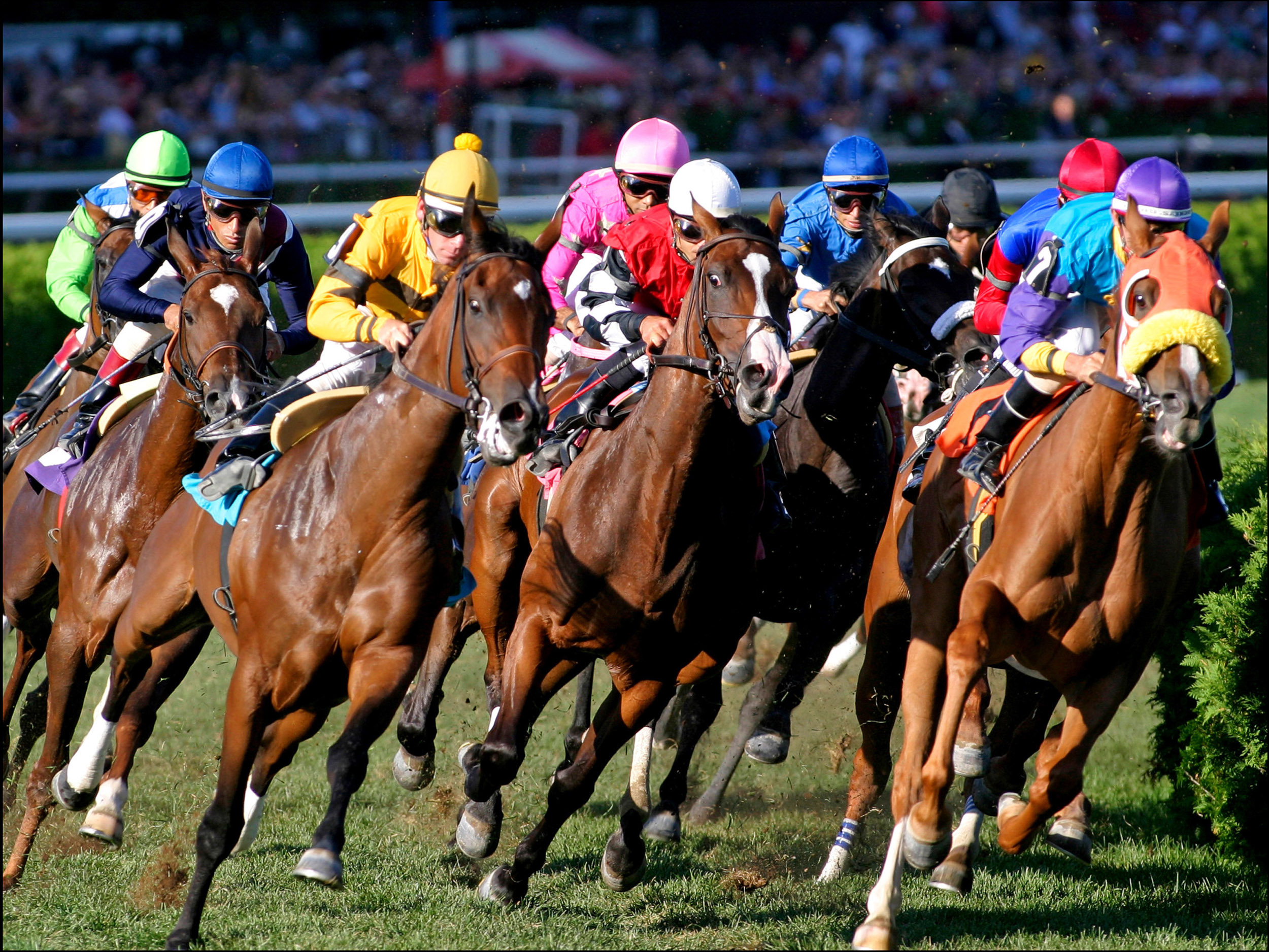  ClubhouseTurn - Saratoga 