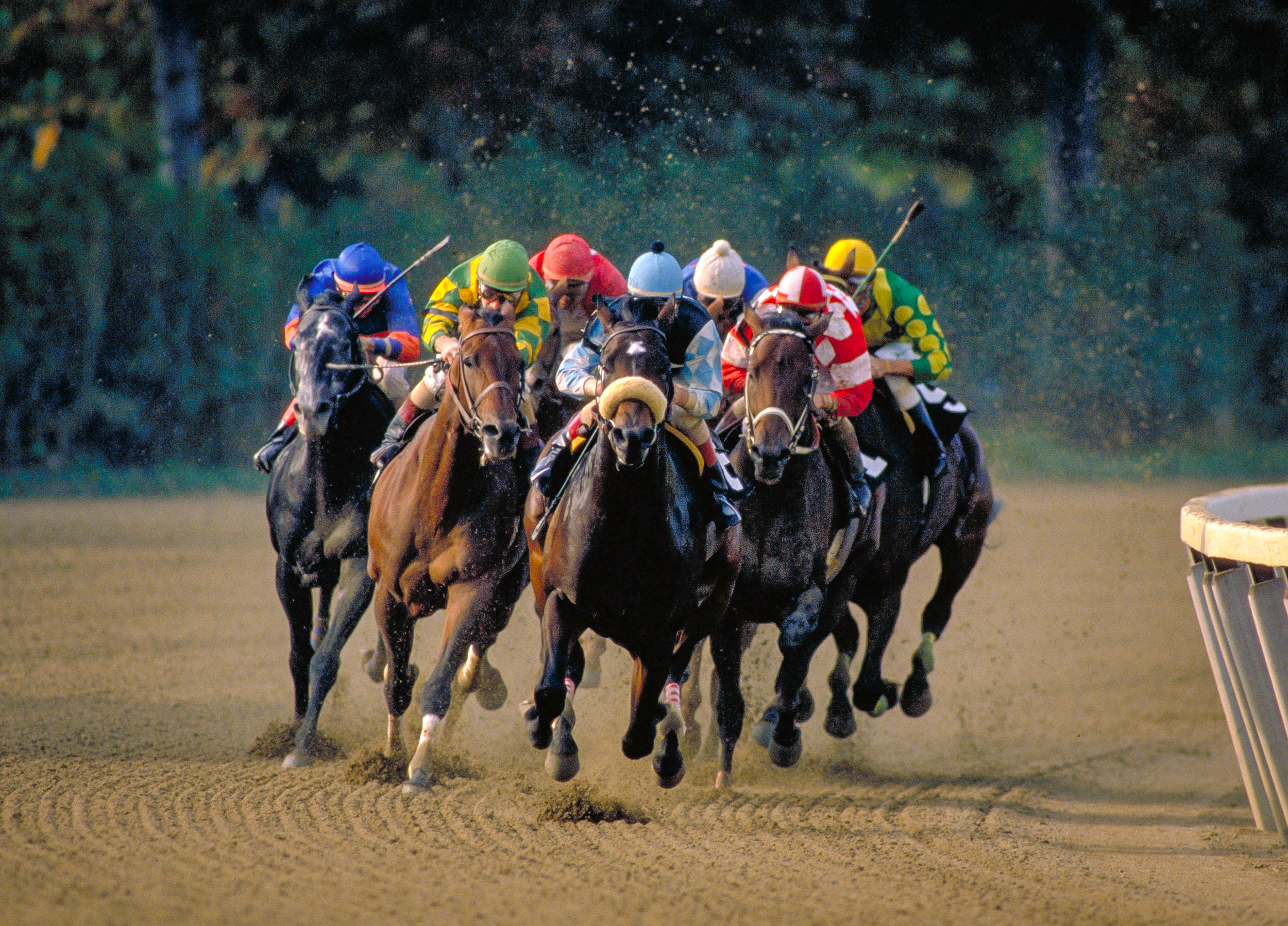  Fall Championship Series - Belmont Park 
