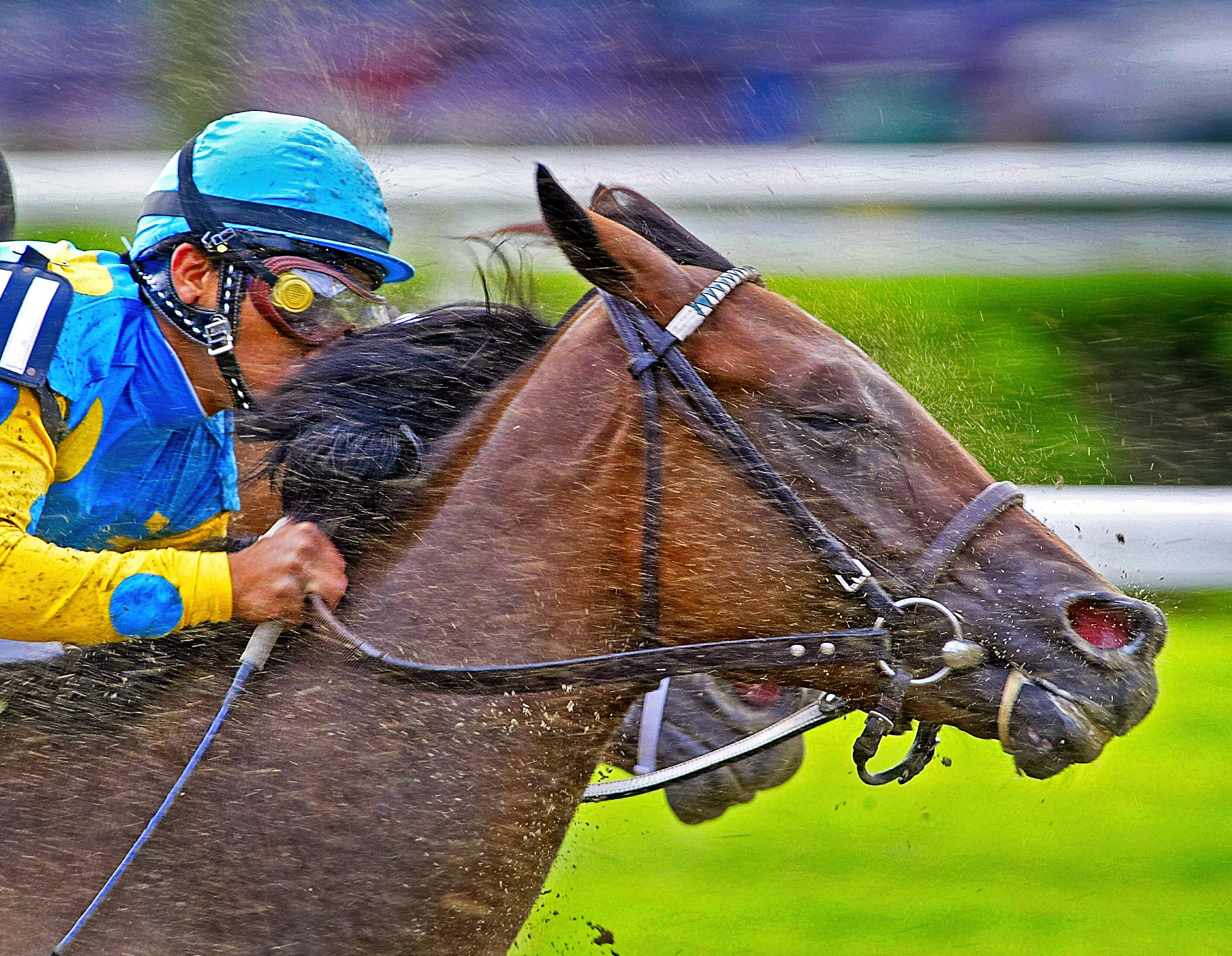  Into the Far Turn-Saratoga 