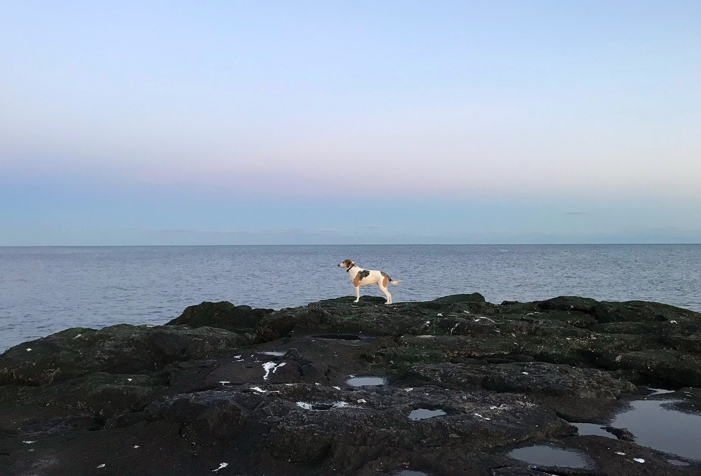  Jessie - Asbury Park 