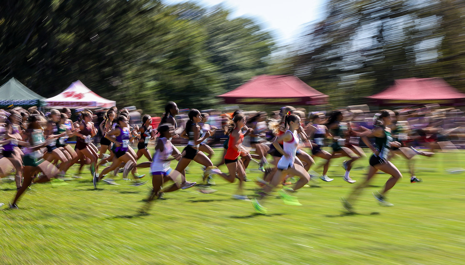 Girls Cross Country 